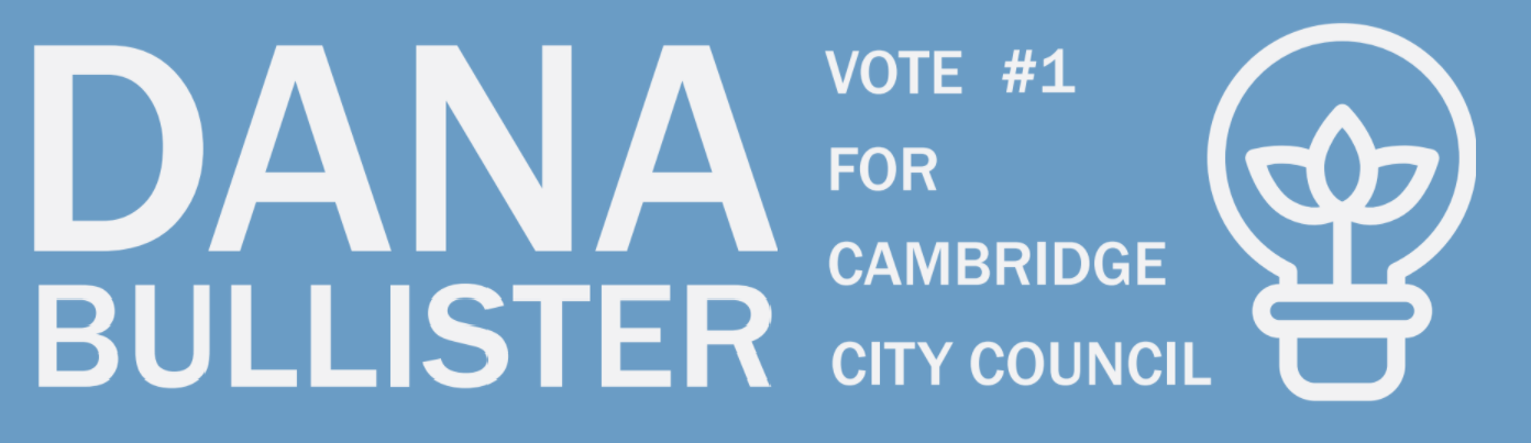 Dana For Cambridge City Council Logo